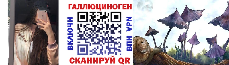 Галлюциногенные грибы Psilocybe  Пучеж 